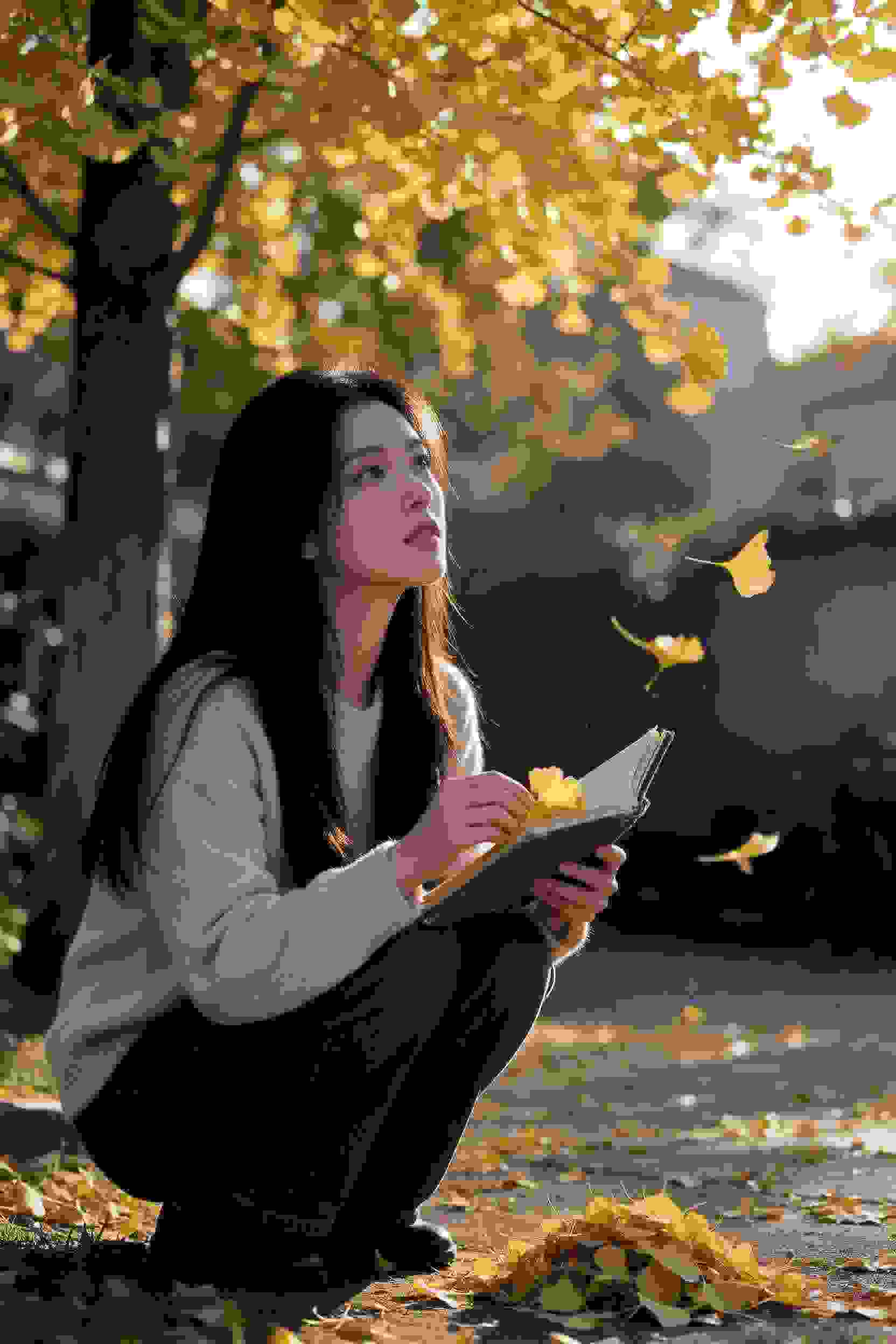 电影8