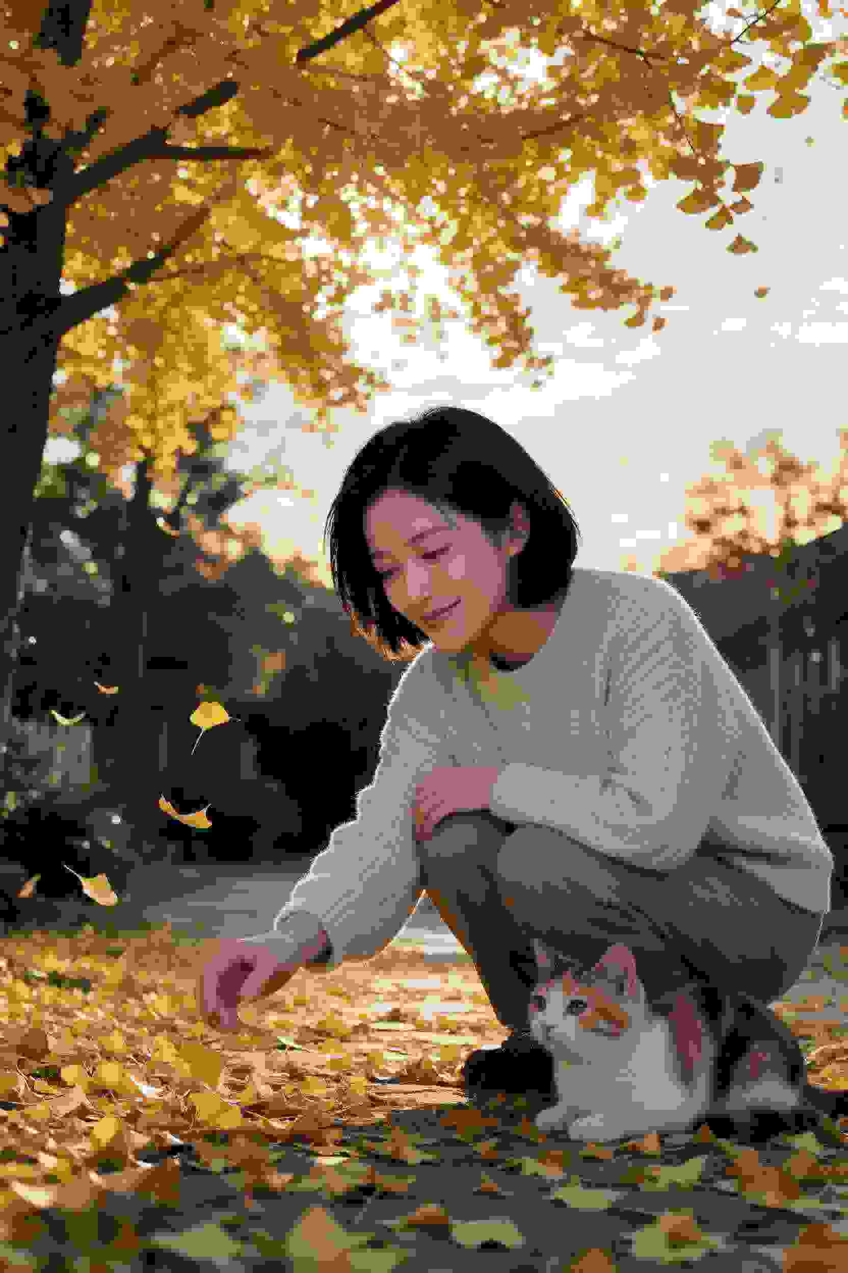 轮播4